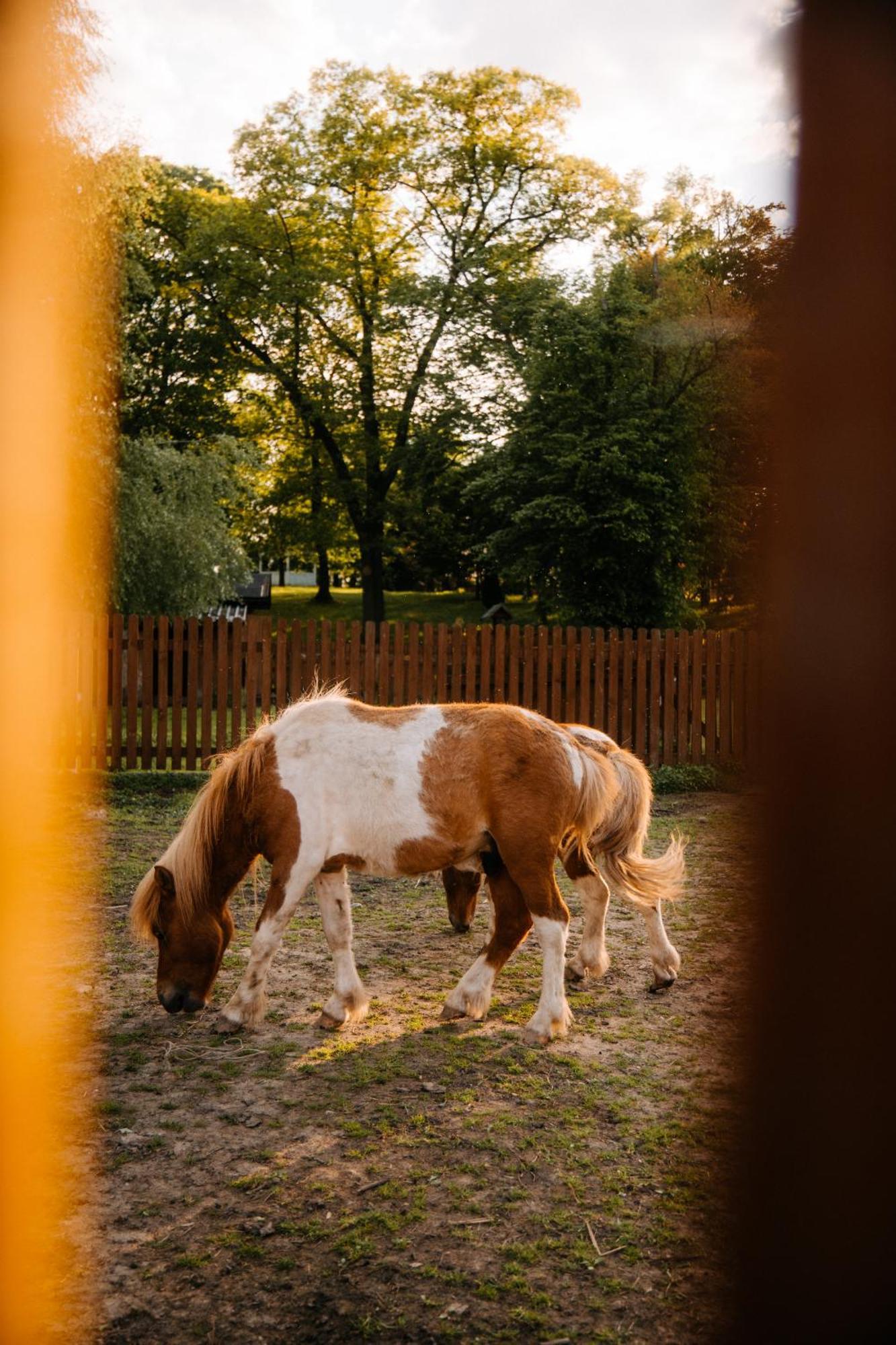 Palac Srodka Chrzypsko Wielkie Buitenkant foto