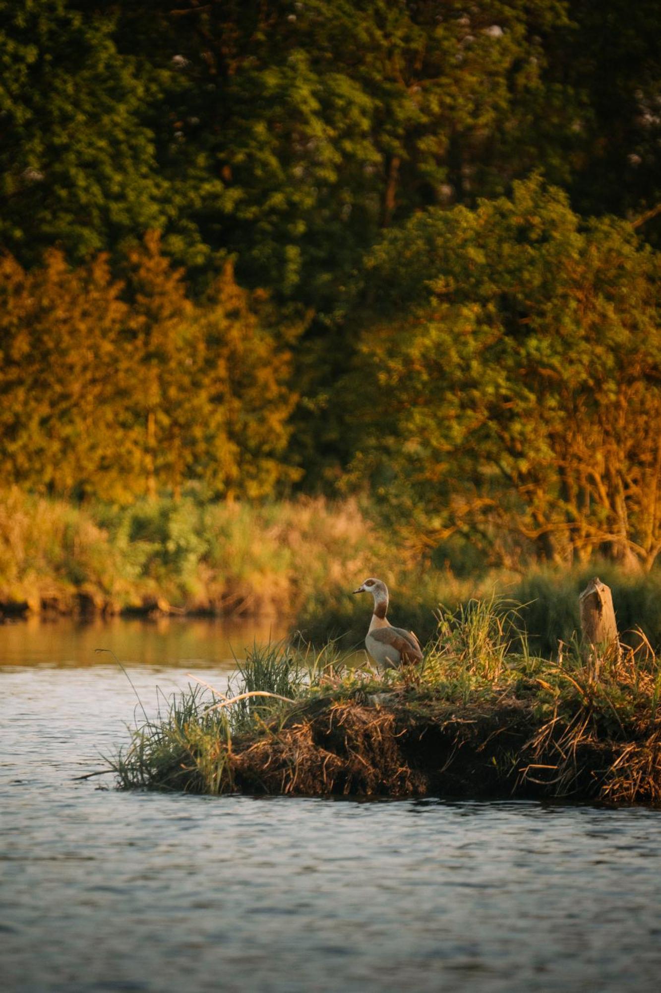 Palac Srodka Chrzypsko Wielkie Buitenkant foto