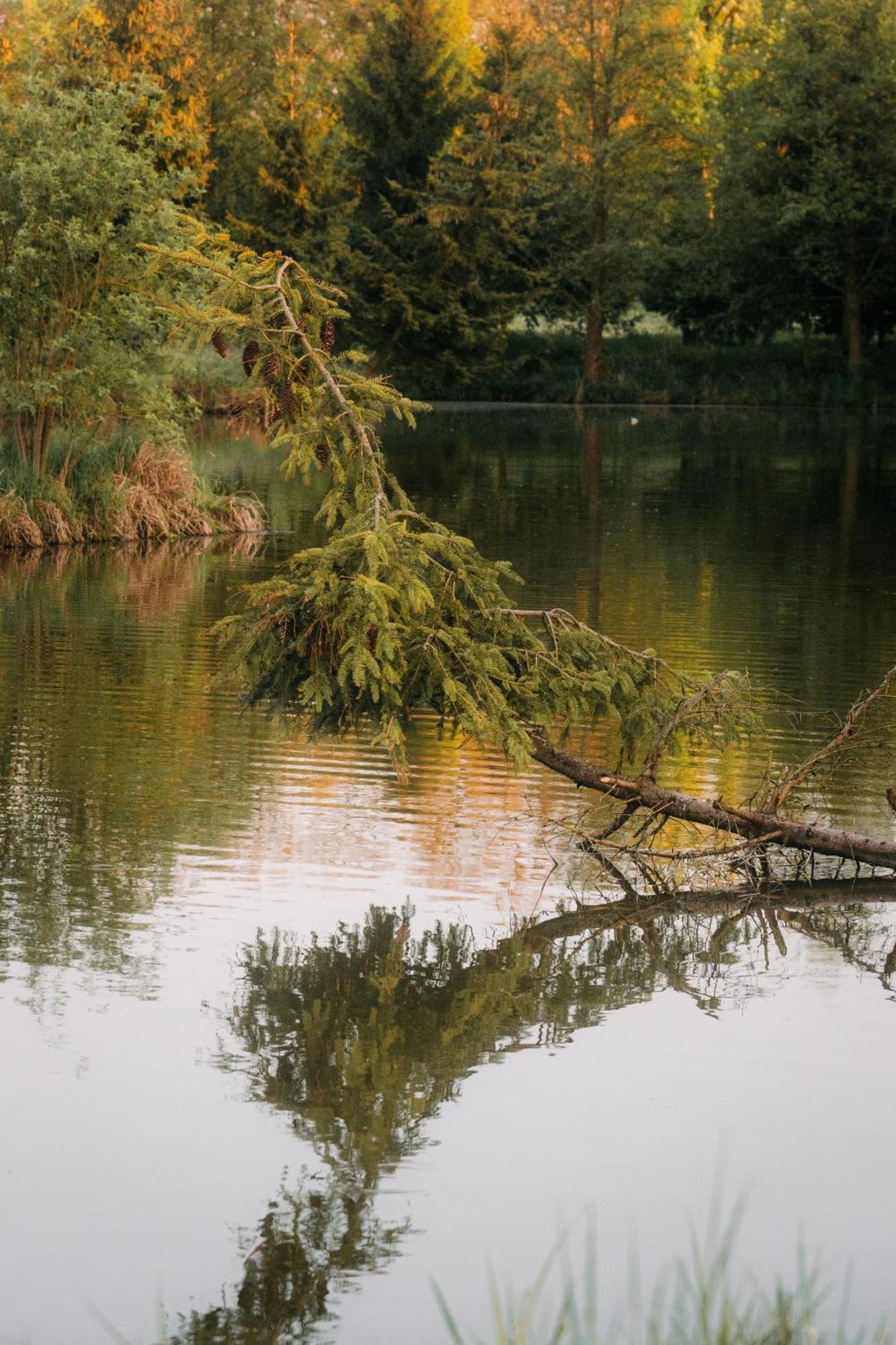 Palac Srodka Chrzypsko Wielkie Buitenkant foto